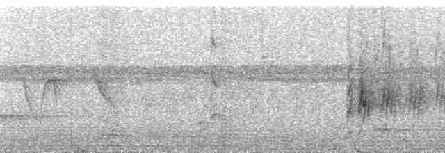 Eufonia Ventricastaña - ML101584