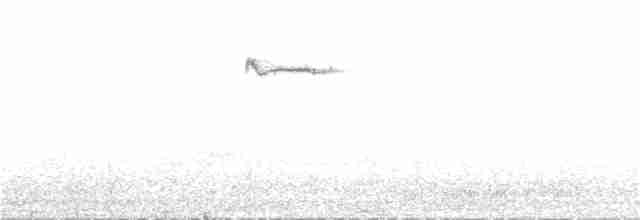 Bant Kuyruklu Tırmaşıkkuşu - ML101611091