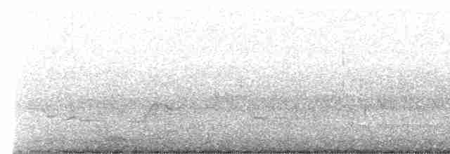 Mourning Warbler x Common Yellowthroat (hybrid) - ML101632831
