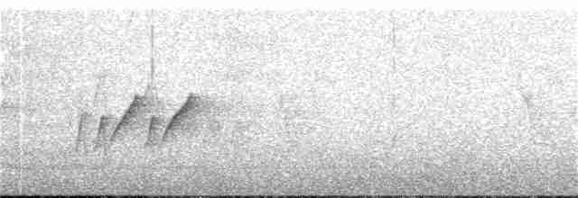 langhalemønjefugl - ML101640841