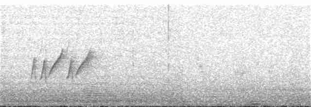 langhalemønjefugl - ML101640951