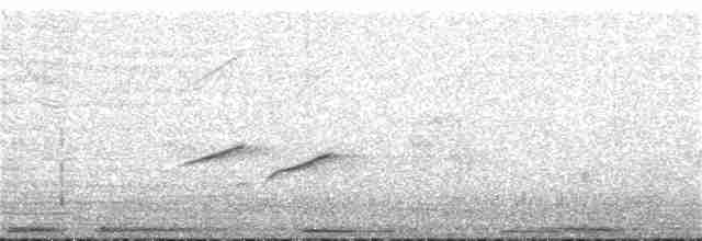 langhalemønjefugl - ML101641141