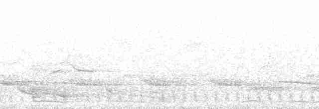 sepiatreløper (atrirostris/trumaii) - ML101671