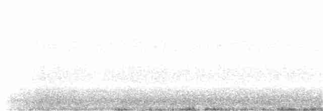 Black-crowned Night Heron - ML101702801