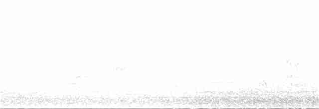 白斑紫嘯鶇 - ML101725791