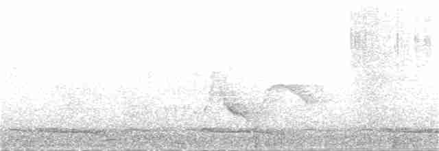 Büyük Islıkçı Bülbülü - ML101725841