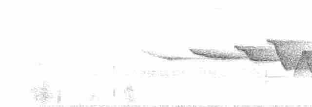 Swainson's Warbler - ML101784381
