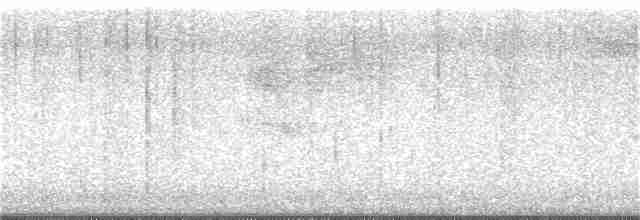 Common Merganser (North American) - ML101790761