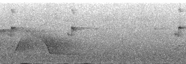 Большеклювый колибри-отшельник [группа moorei] - ML101837
