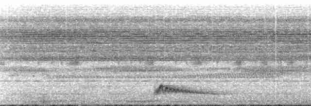 Augennachtschwalbe - ML101857