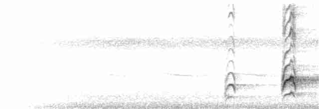 Torresian Kingfisher - ML101908031
