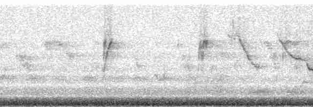 Сейшельская нектарница - ML101993