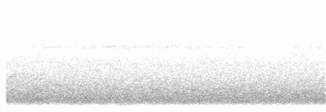Weißstirn-Ameisenschnäpper - ML102012271