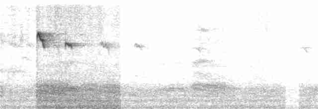 Common Kingfisher - ML102038571