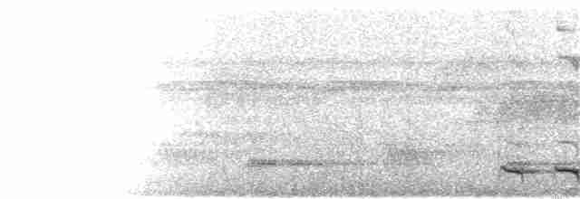 Diard Trogonu - ML102058771