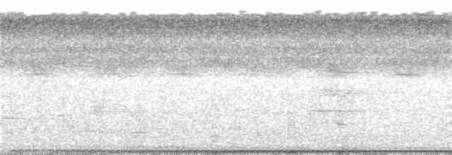 trubač bělokřídlý - ML102100171