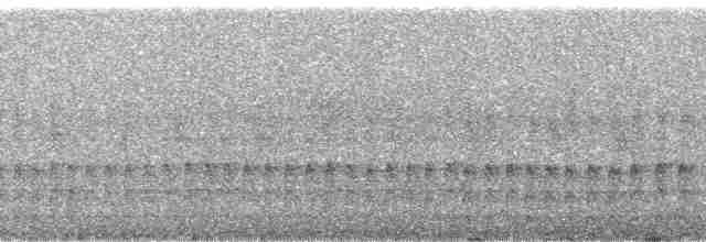 Dohrn's Thrush-Babbler - ML102114