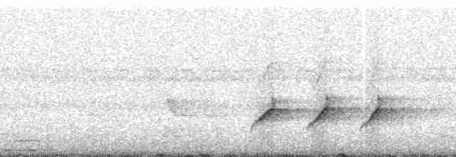 Dusky Long-tailed Cuckoo - ML102134