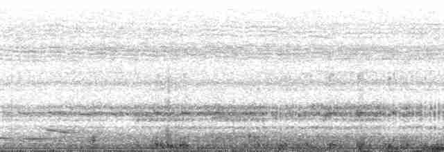 Сероголовый ширококлюв - ML102139