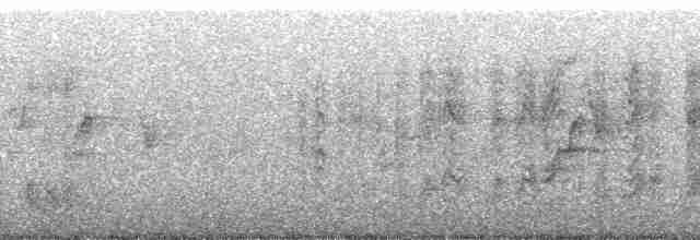 savanneskriketrost - ML102163