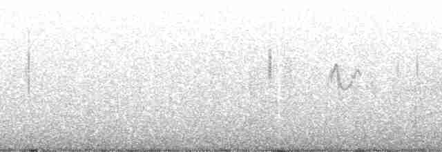 Ibis Carunculado - ML102168