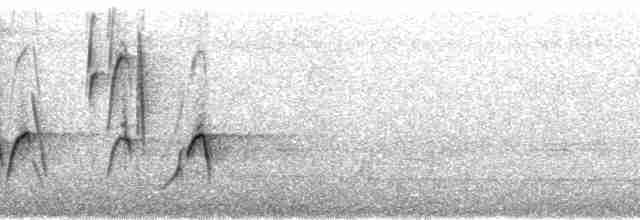 tykknebbeufonia (laniirostris gr.) - ML102183