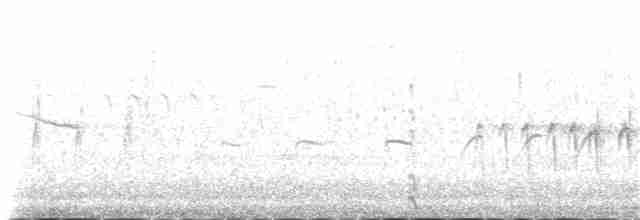 střízlík bažinný [skupina palustris] - ML102225751