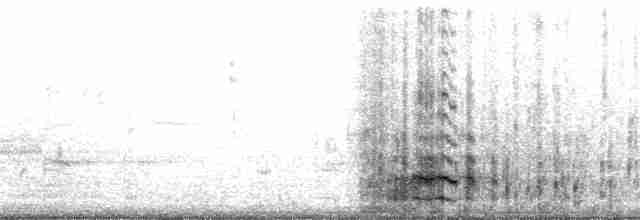Common Gallinule (American) - ML102306
