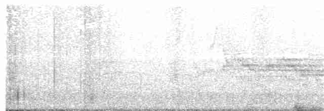 Дрізд-короткодзьоб бурий - ML102336291