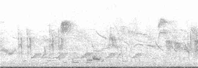 Африканская райская мухоловка - ML102363571