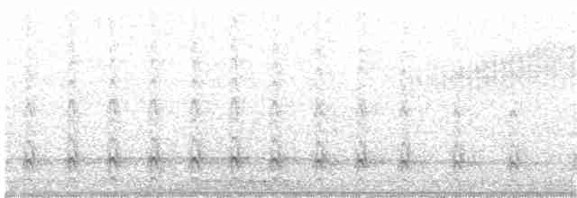 Pileated Woodpecker - ML102364641