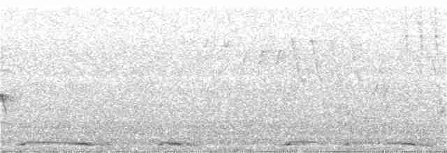 Eurasian Collared-Dove - ML102387381