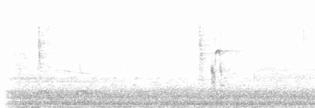 vlhovec červenokřídlý [skupina phoeniceus] - ML102389341