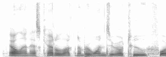 Eastern Meadowlark (Eastern) - ML102412