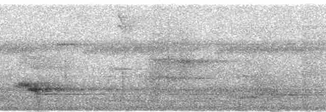 Channel-billed Toucan - ML102413