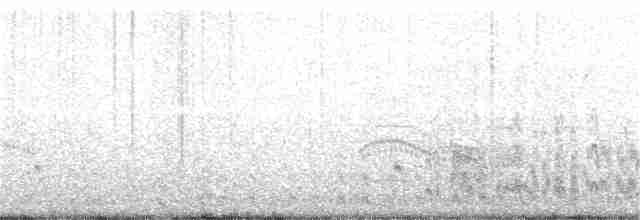 ארנריה אדמונית - ML102417231