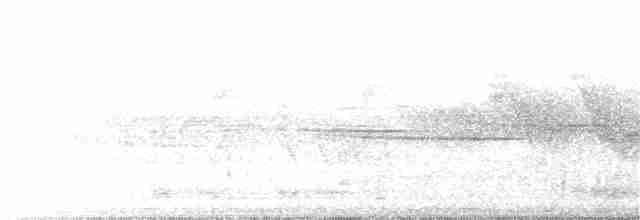 Porsuk Serçesi (pugetensis) - ML102417301