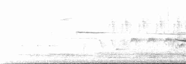 Porsuk Serçesi (pugetensis) - ML102418391