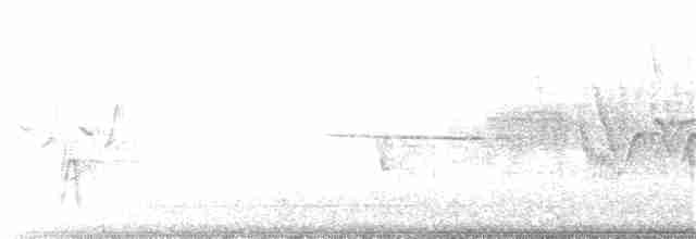 Белобровая овсянка (pugetensis) - ML102419661