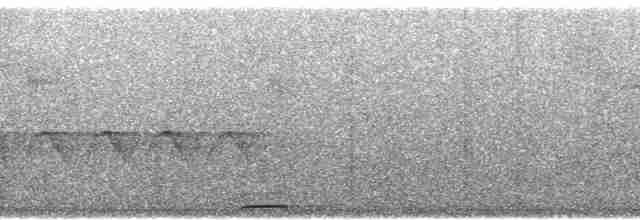 holoubek šedomodrý - ML102468