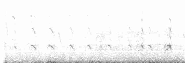 Перепончатопалый улит (semipalmata) - ML102470801