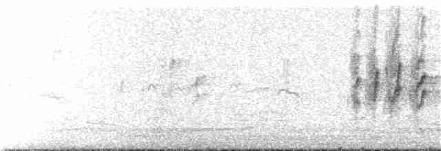 סנונית רפתות - ML102478931
