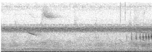 Желтогорлая пищуховая иглохвостка - ML102528811