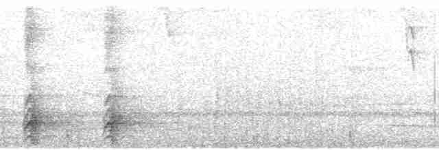 Toucanet à gorge blanche (albivitta/phaeolaemus) - ML102531