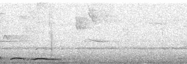 holub vínový [skupina purpureotincta] - ML102536