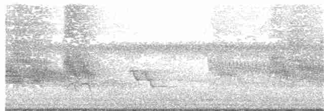 歐洲椋鳥 - ML102593201