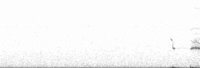 Long-tailed Meadowlark - ML102596851