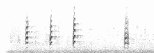 Black-necked Stilt - ML102617171