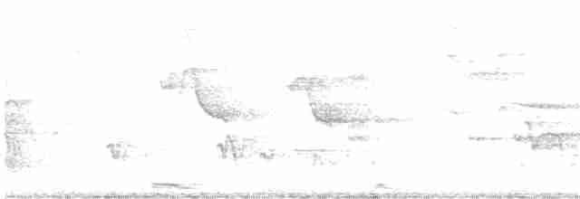 Yellow-billed Cuckoo - ML102629271