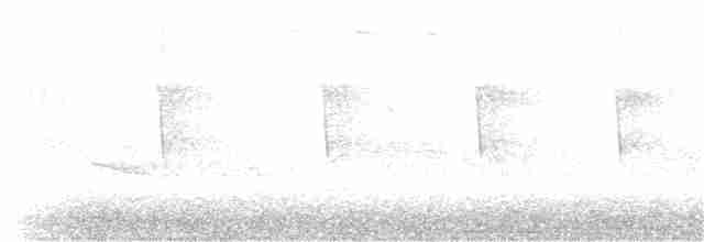svartbrystparula - ML102630141